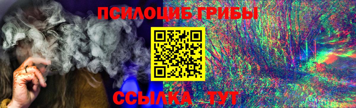 Галлюциногенные грибы GOLDEN TEACHER  Псилоцибиновые грибы Psilocybine cubensis  Вход с VPN  Россия 